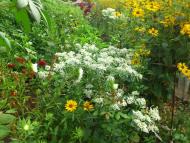 Старий Айдар з panoramio.com