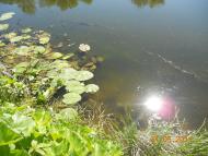 Перевіз з panoramio.com