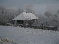 Ріпки з panoramio.com