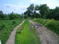 Алтинівка з panoramio.com