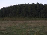 Нараїв з panoramio.com