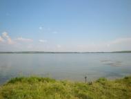 Новий Яр з panoramio.com - Новый Яр