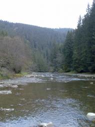 Вишків з panoramio.com - Vyshkiv