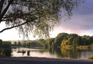 Музичі з panoramio.com - Музычи
