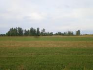 Хрещате з panoramio.com