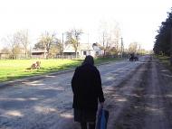 Мала Глуша з panoramio.com