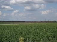 Удачне з panoramio.com