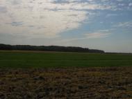 Лісна Поляна з panoramio.com