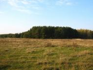 Богданівка з panoramio.com