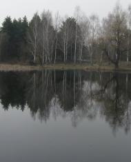 Кицівка з panoramio.com