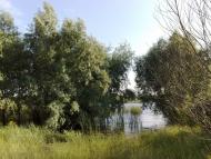 Верхня Оріхівка з panoramio.com