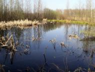 Веснянка з panoramio.com