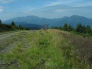 Бребоя з panoramio.com