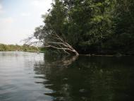 Геївка з panoramio.com