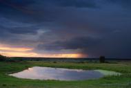 Боровичі з panoramio.com