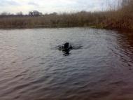 Піски з panoramio.com