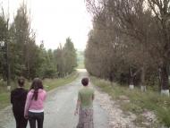 Павлів з panoramio.com