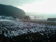 Купка з panoramio.com