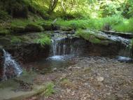 Скоморохи з panoramio.com