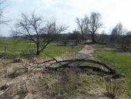 Линея з panoramio.com