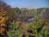 Картушине з panoramio.com