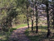 Чернігівка з panoramio.com