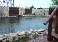 Шевченкове з panoramio.com