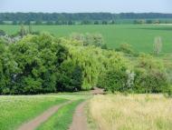 Майданецьке з panoramio.com - Майданецьке