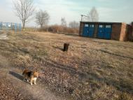 Пиняни з panoramio.com