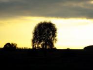 Новооріхівка з panoramio.com