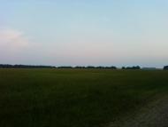 Рівнинне з panoramio.com