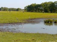 Комсомольське з panoramio.com