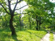 Велика Солтанівка з panoramio.com