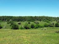 Любимівка з panoramio.com