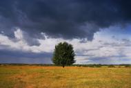Боровичі з panoramio.com