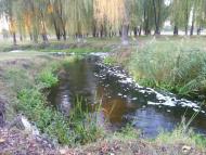 Саврань з panoramio.com