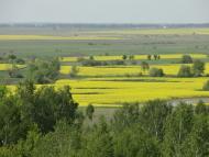 Веселе з panoramio.com