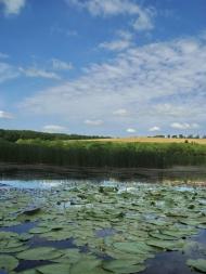 Біївці з panoramio.com