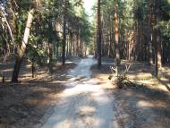 Клугино-Башкирівка з panoramio.com