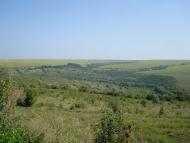 Тарасівка з panoramio.com