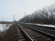 Шарки з panoramio.com