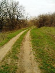 Лисичанський з panoramio.com