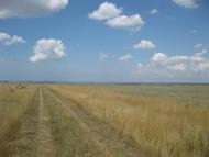 Брянське з panoramio.com