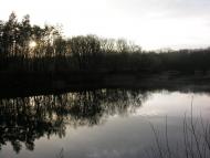 Хащеве з panoramio.com