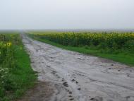 Майданецьке з panoramio.com - Maydanetske