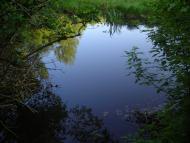 Єлизаветівка з panoramio.com