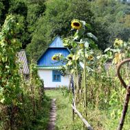 Нижній Бистрий з panoramio.com
