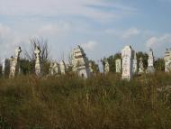 Виноградне з panoramio.com