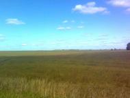 Серкізів з panoramio.com