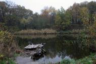 Вільне з panoramio.com